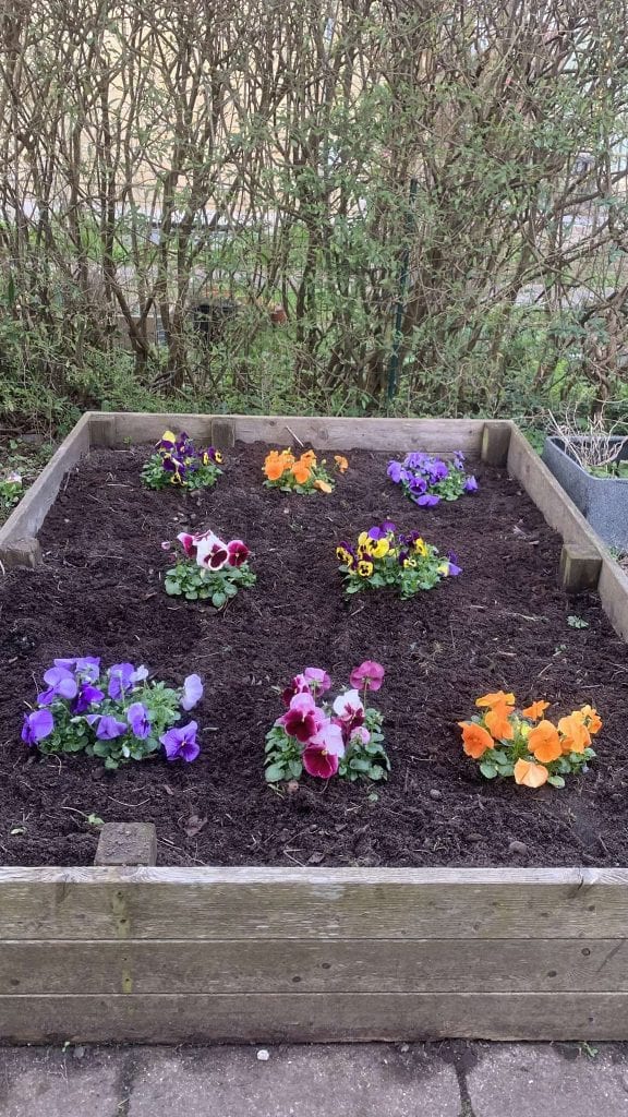 Velplejet beplantning på erhvervsareal