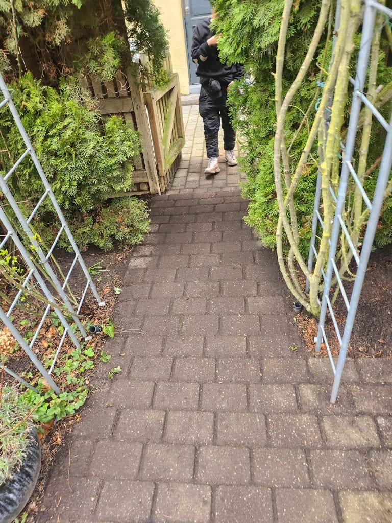 Stubfræsning på byggegrund
